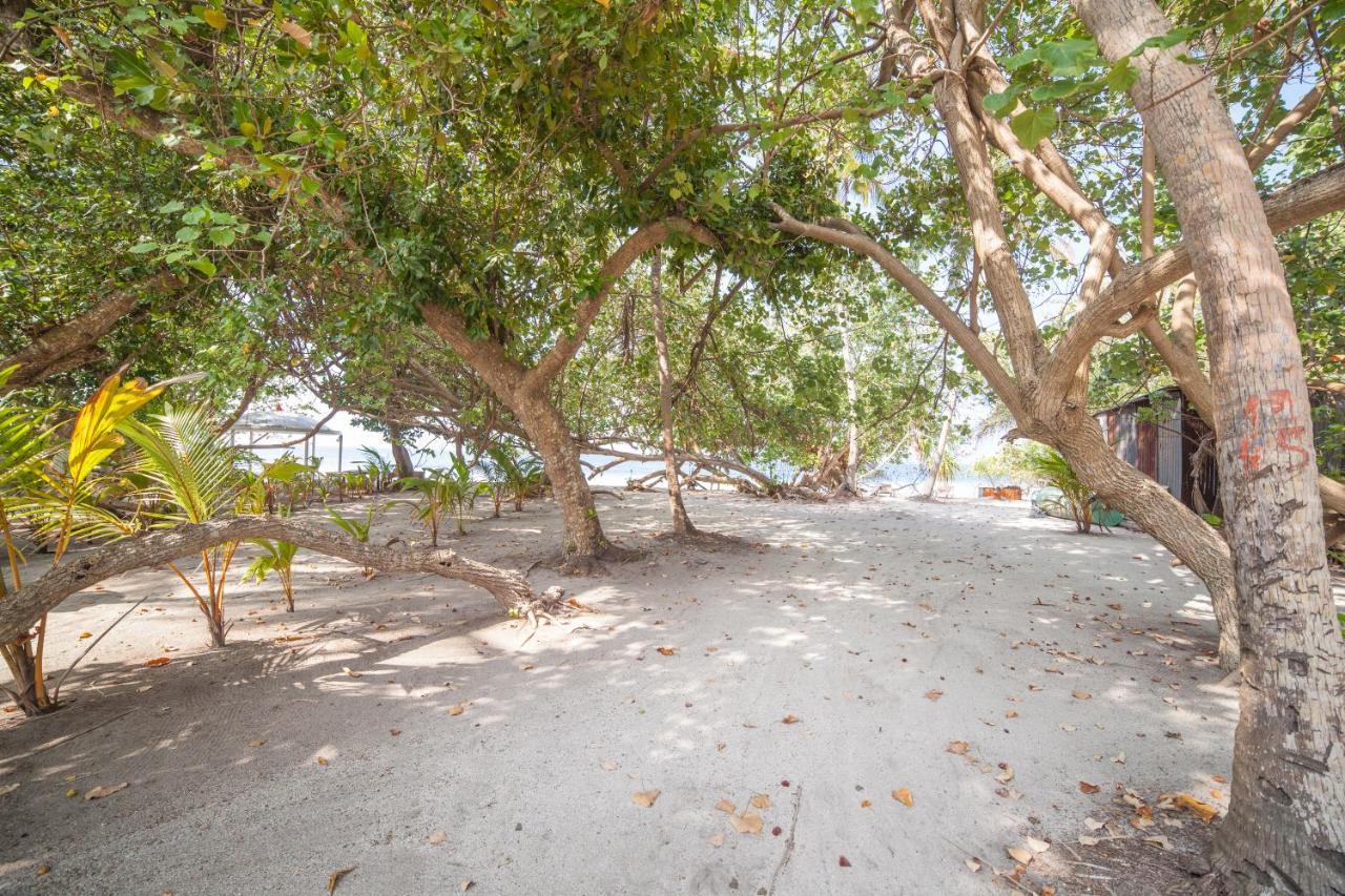 Island Pavilion Hotel Hangnaameedhoo Exterior photo